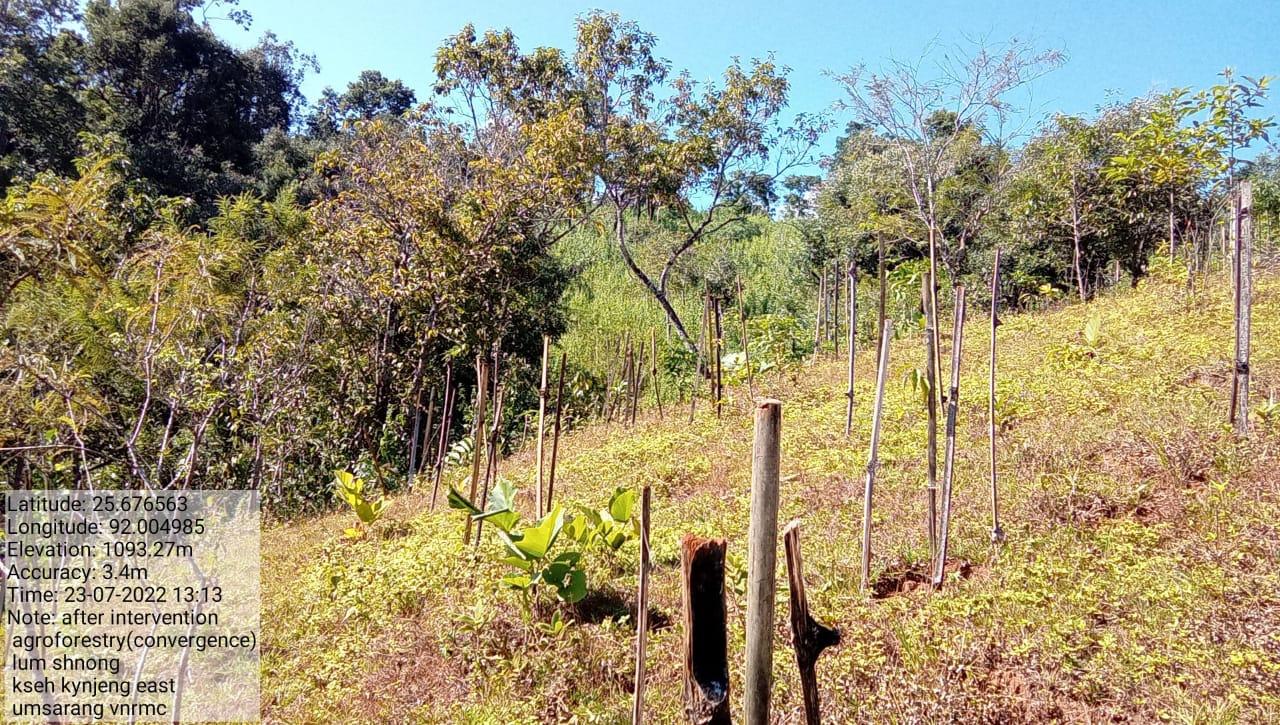 C:\Users\Lavinia Pde\Downloads\WhatsApp Image 2023-03-27 at 12.28.39.jpeg